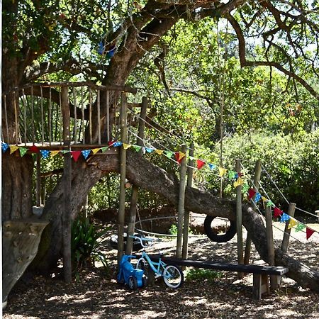 Shepherd'S Tree Backpackers Knysna Zewnętrze zdjęcie
