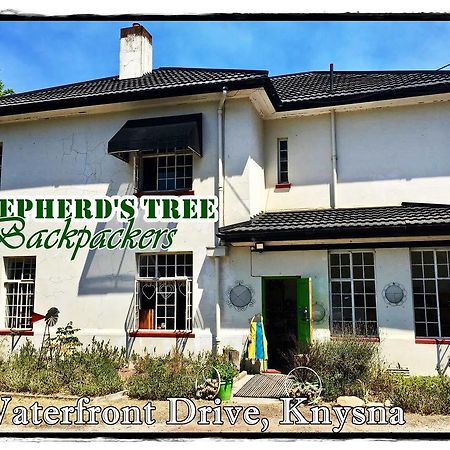 Shepherd'S Tree Backpackers Knysna Zewnętrze zdjęcie