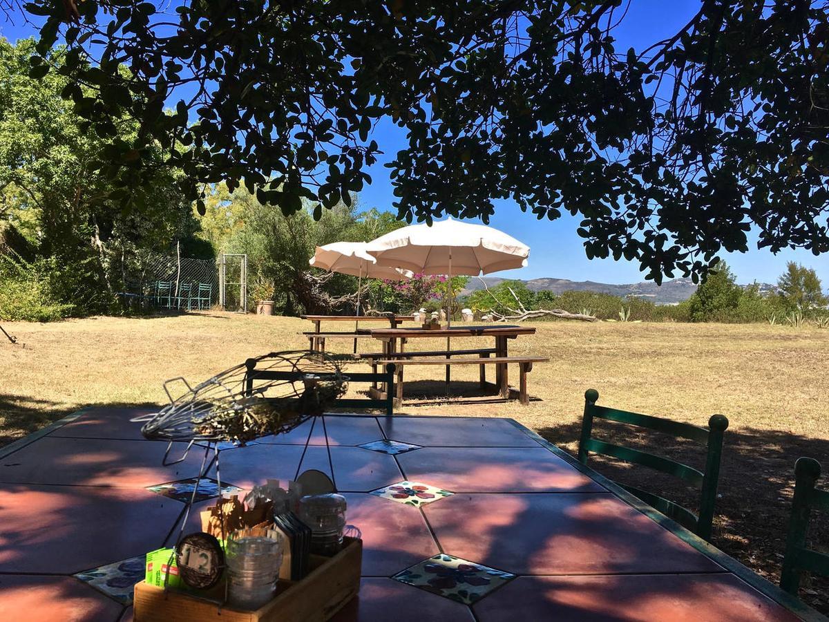 Shepherd'S Tree Backpackers Knysna Zewnętrze zdjęcie